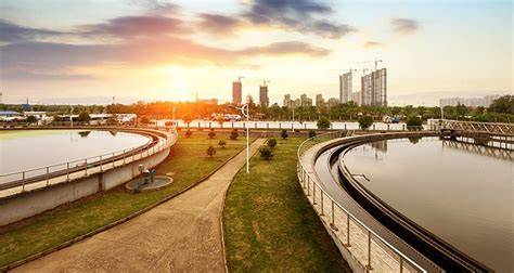 Preventing Whales in Wastewater Lagoons - BTL Liners - raincitystudios.com