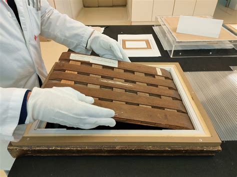 Preventive Conservation | Development Services - muktibox.com