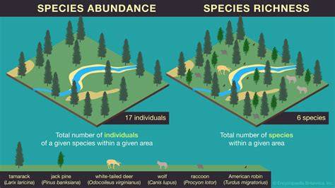 Prey species richness and secondary forest among the key factors ... - raincitystudios.com