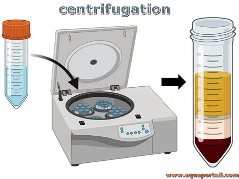 Primary Care Guidance For Sample Collection, Centrifugation and … - wintechmobiles.com