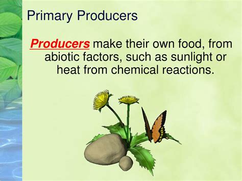 Primary producers concessions - Australian Taxation Office - muktibox.com