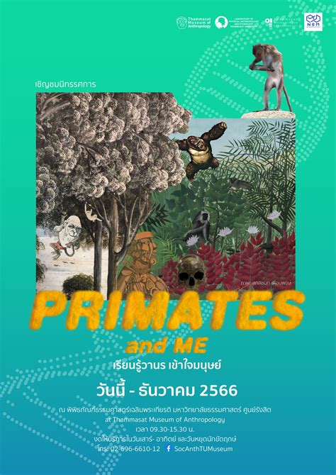 Primate - muktibox.com
