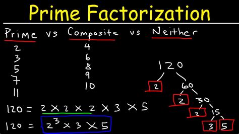 Prime Factorization Explained | Steps and Examples - BrightChamps - wintechmobiles.com
