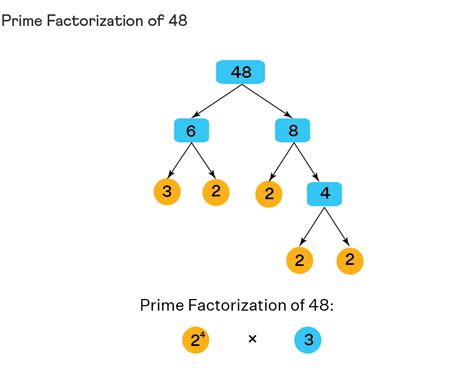 Prime Factorization Simplified for Beginners - wintechmobiles.com