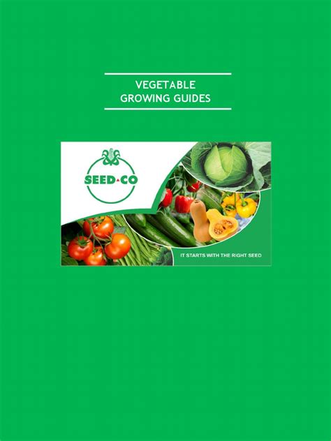 Prime Seedco booklet - raincitystudios.com