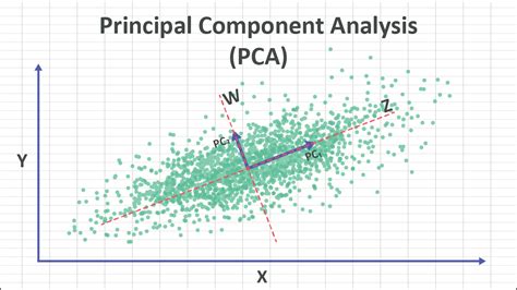 Principal Component Analysis Tutorials - wintechmobiles.com