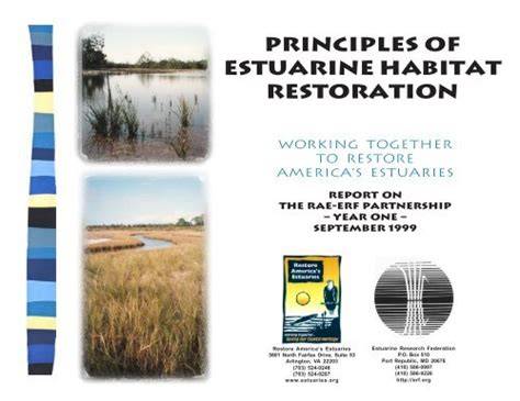 Principles of Estuarine Habitat Restoration - raincitystudios.com