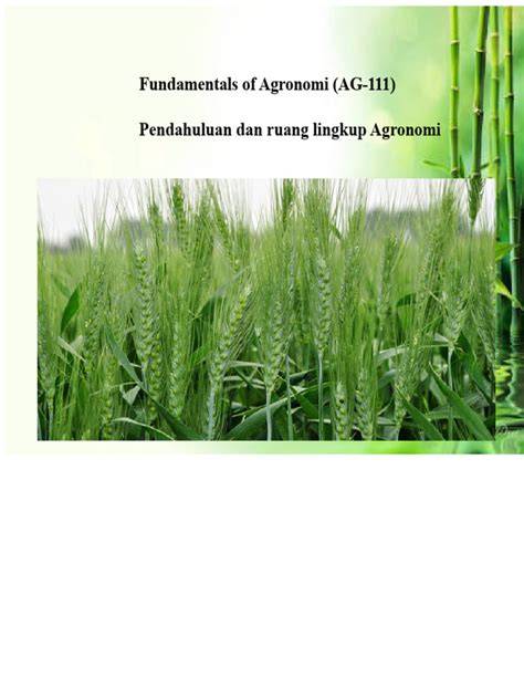 Prinsip Genetik dan Prinsip Agronomi dalam … - raincitystudios.com