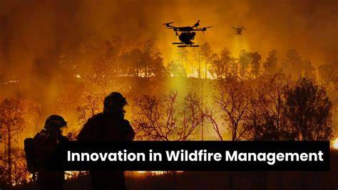 Priorities and Effectiveness in Wildfire Management: … - raincitystudios.com