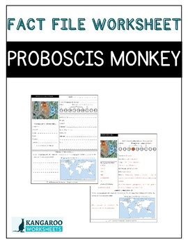 Proboscis monkey fact file | Animal Friends - muktibox.com