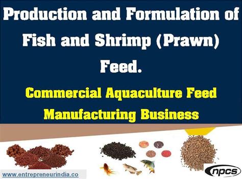 Production and Formulation of Fish and Shrimp … - raincitystudios.com