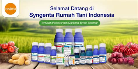 Produk Tani Berkualitas Indonesia - Mitra Tani Indonesia - raincitystudios.com