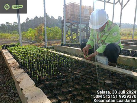 Produksi Bibit - raincitystudios.com