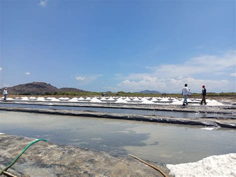 Produksi Garam Dan Bittern Di Tambak Garam - wintechmobiles.com