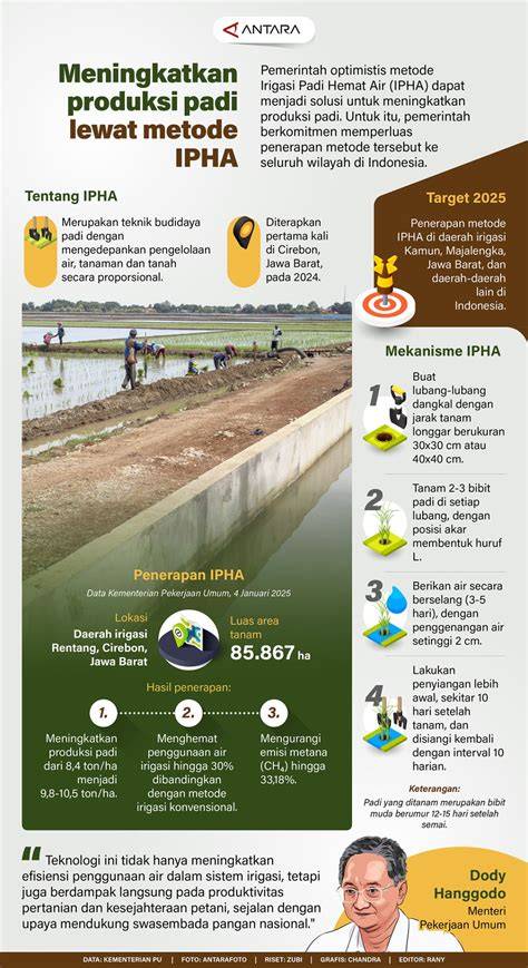 Produksi Padi Hemat Air - Media Indonesia - raincitystudios.com
