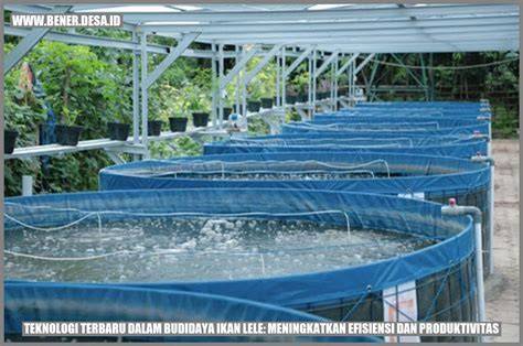 PRODUKTIVITAS BUDIDAYA IKAN DALAM BERBAGAI … - raincitystudios.com