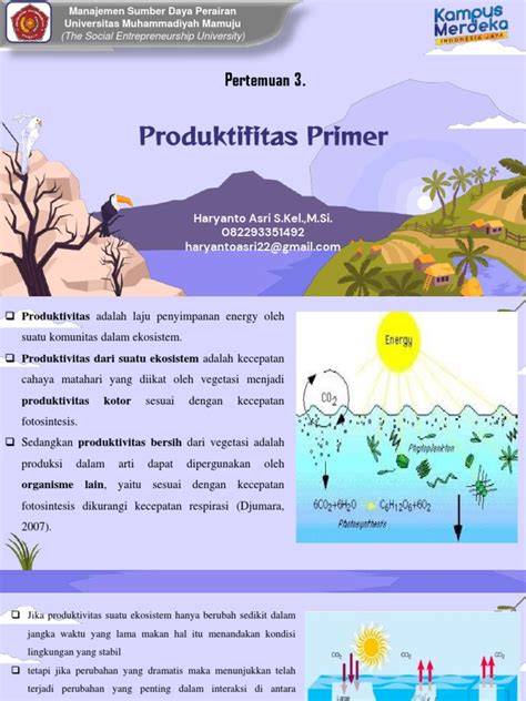 PRODUKTIVITAS PRIMER PERAIRAN PENDAHULUAN - raincitystudios.com
