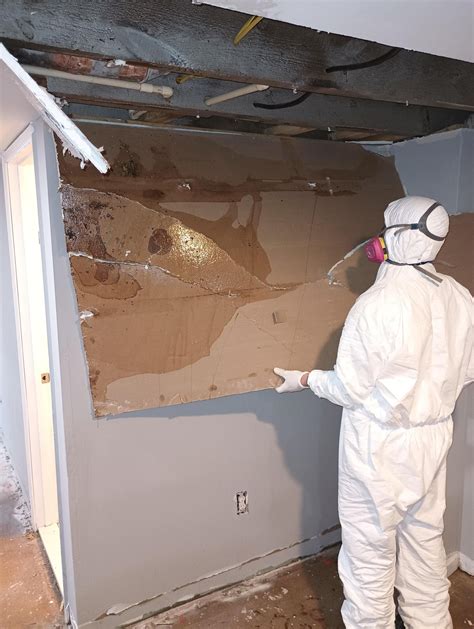 Professional Cleaning and Restoration - David Horton Art - muktibox.com