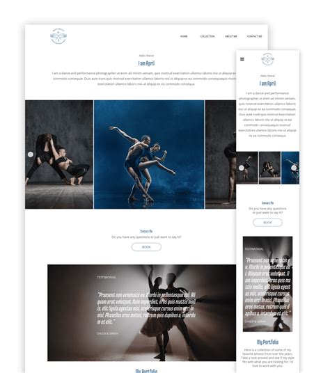 Professional Dance Portfolio | Latest work, updates & news - muktibox.com