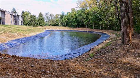 Professional Pond Construction Services Thinking of starting fish ... - raincitystudios.com