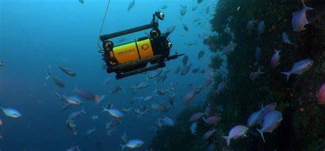 Professional ROV Rentals | Explore Underwater Depths … - raincitystudios.com