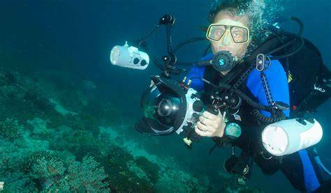 Professional Underwater Photographer Artist - raincitystudios.com