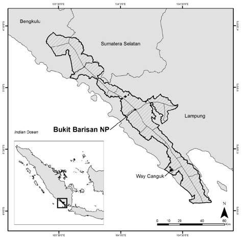 Profil TN Bukit Barisan Selatan - raincitystudios.com
