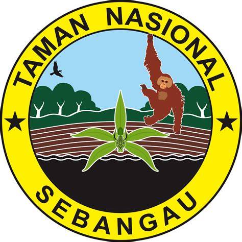 Profil TN Sebangau - raincitystudios.com