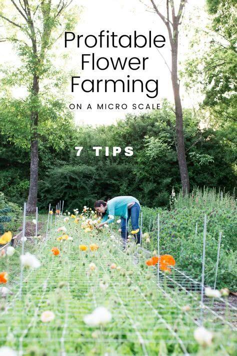 Profitable, Small-Scale Flower Farming - Mother Earth … - raincitystudios.com