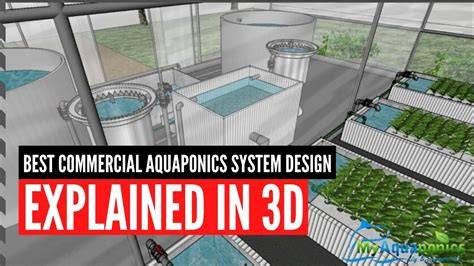 Profitable Commercial Aquaponic Systems Design … - raincitystudios.com