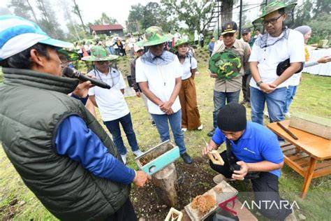 Program hutan lestari Pertamina hasilkan harmoni alam dan ekonomi rakyat - raincitystudios.com