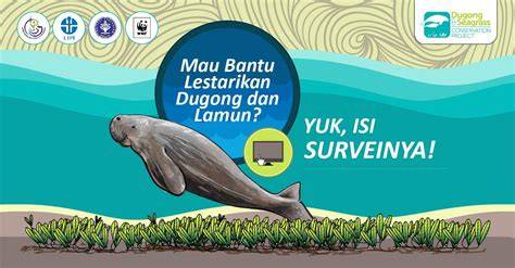 Program Konservasi Dugong dan Lamun Indonesia - raincitystudios.com