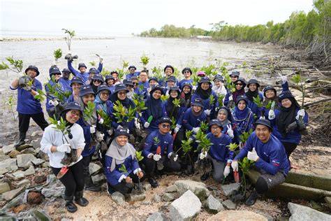 Program Penanaman Pokok Bakau dan Spesies … - raincitystudios.com