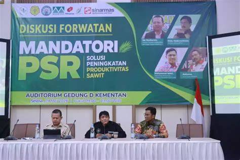 Program PSR Sebagai Upaya Mendukung … - raincitystudios.com