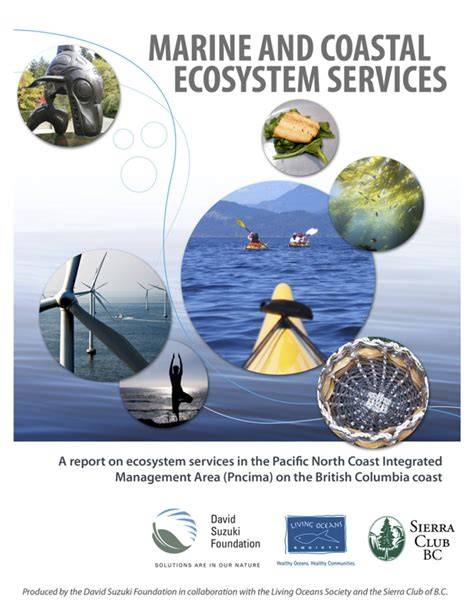 Progress and Challenges in Valuing Coastal and Marine Ecosystem Services - raincitystudios.com