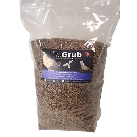 ProGrub Black Soldier Fly Larvae Poultry Treats - raincitystudios.com