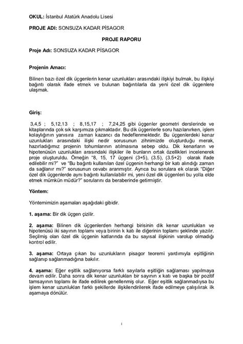 PROJE DEĞERLEME RAPORU.