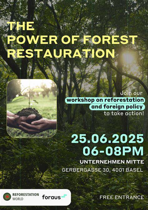 Project partners – Reforestation World - raincitystudios.com