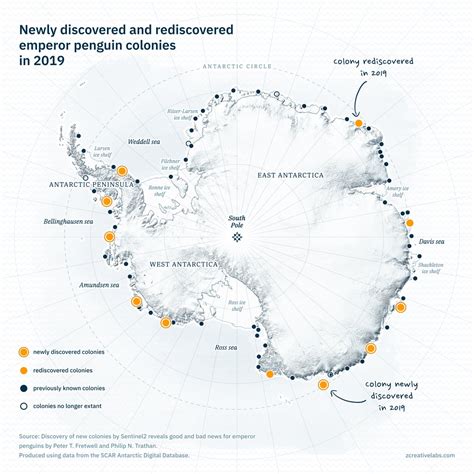 Projected continent-wide declines of the emperor penguin under ... - Nature - muktibox.com