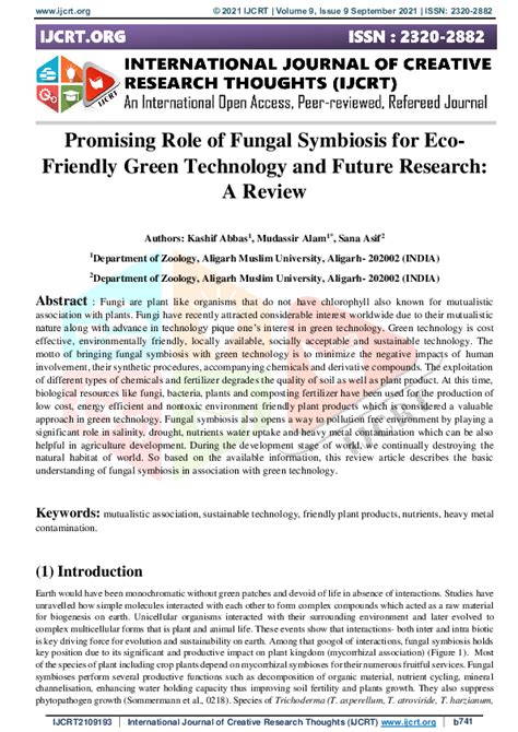 Promising Role of Fungal Symbiosis for Eco-friendly Green ... - Springer - raincitystudios.com