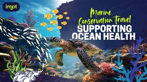 Promoting marine conservation - World Future Council - raincitystudios.com