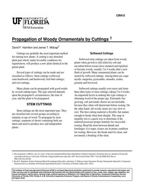 Propagating Woody Ornamentals by Cuttings - raincitystudios.com