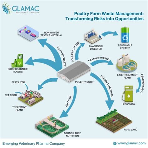 Proper Farm Waste management guide - Agric4Profits - raincitystudios.com