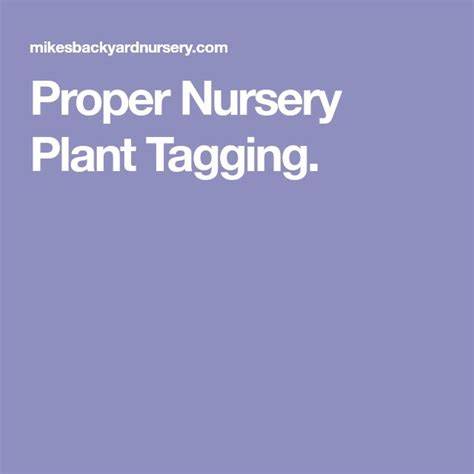 Proper Nursery Plant Tagging. - Mike's Backyard Nursery - raincitystudios.com