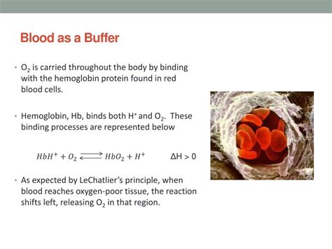 Properties of Blood as a Buffer and Blood Glucose - wintechmobiles.com