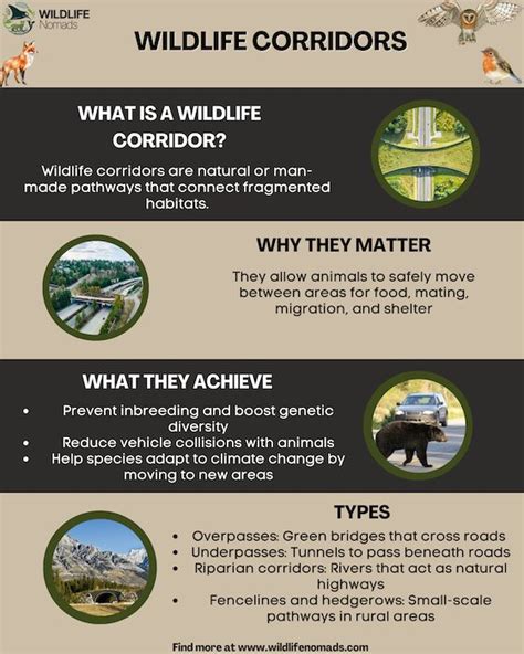 Propose Wildlife Corridors for Key Species - Esri - wintechmobiles.com