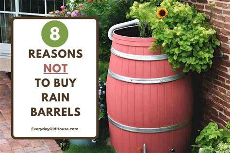 Pros And Cons Of Rain Barrels | The 101 For … - raincitystudios.com
