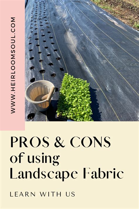 Pros and Cons of Using Landscape Fabric - LawnStarter - raincitystudios.com