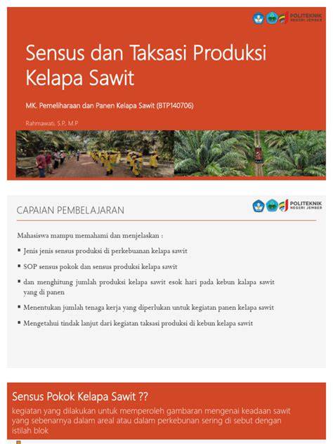 Prosedur Sensus Produksi Kelapa Sawit | PDF - raincitystudios.com