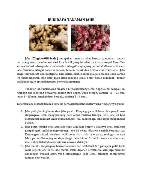 Proses Budidaya Tanaman Jahe | PDF | Griya & Taman - raincitystudios.com